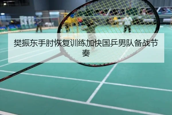 樊振东手肘恢复训练加快国乒男队备战节奏