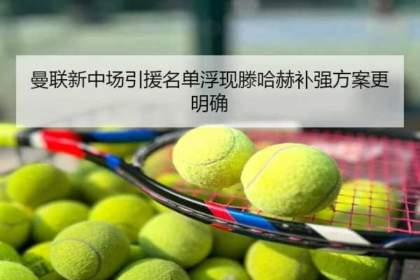 曼联新中场引援名单浮现滕哈赫补强方案更明确