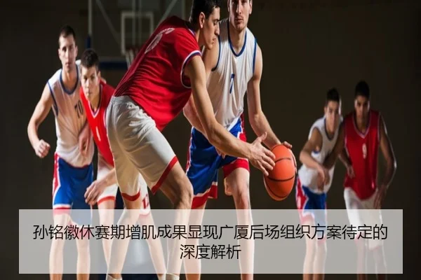孙铭徽休赛期增肌成果显现广厦后场组织方案待定的深度解析